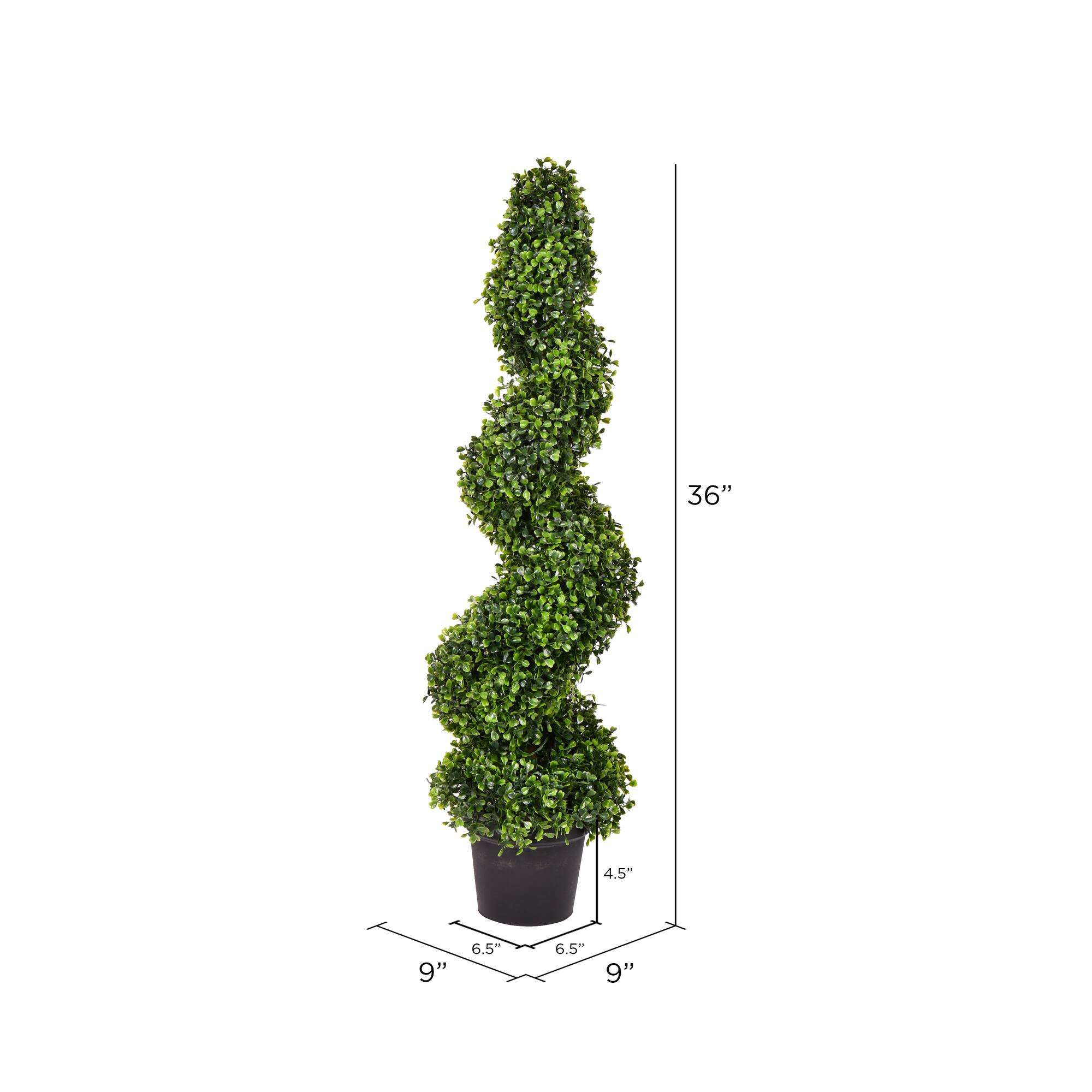 3ft. Potted Boxwood Spiral Tree